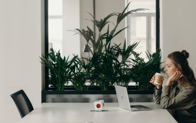 Tax Planning Part 1 – Simple yet effective practical tax planning measures