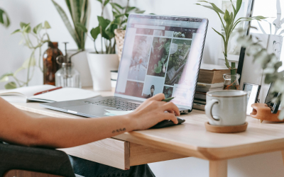 Navigating Entity Structures Part 3 – Entity Asset Protection